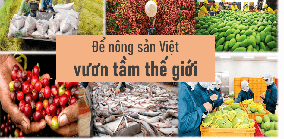 Những yếu tố nào là chìa khóa để mở cửa thị trường quốc tế cho nông sản Việt Nam ?
