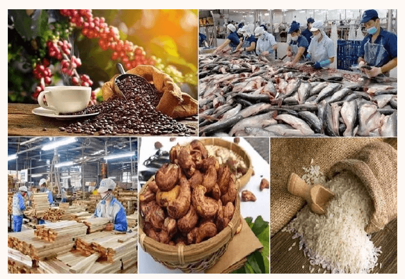Nông nghiệp Việt Nam: Số liệu thống kê chính, xu hướng và điểm nổi bật xuất khẩu