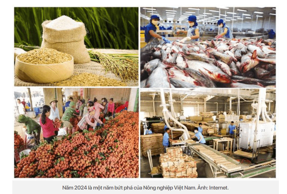 Ngành nông nghiệp Việt Nam: Xu hướng thương mại và triển vọng tương lai.