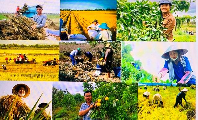 Nông nghiệp Việt Nam năm 2025: Xuất khẩu, Thách thức & Xu hướng ngành